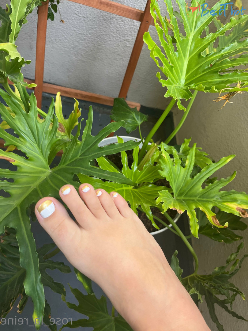 Photo by rose_la_reine published on December 13,2024 22:04:51 - BestThots