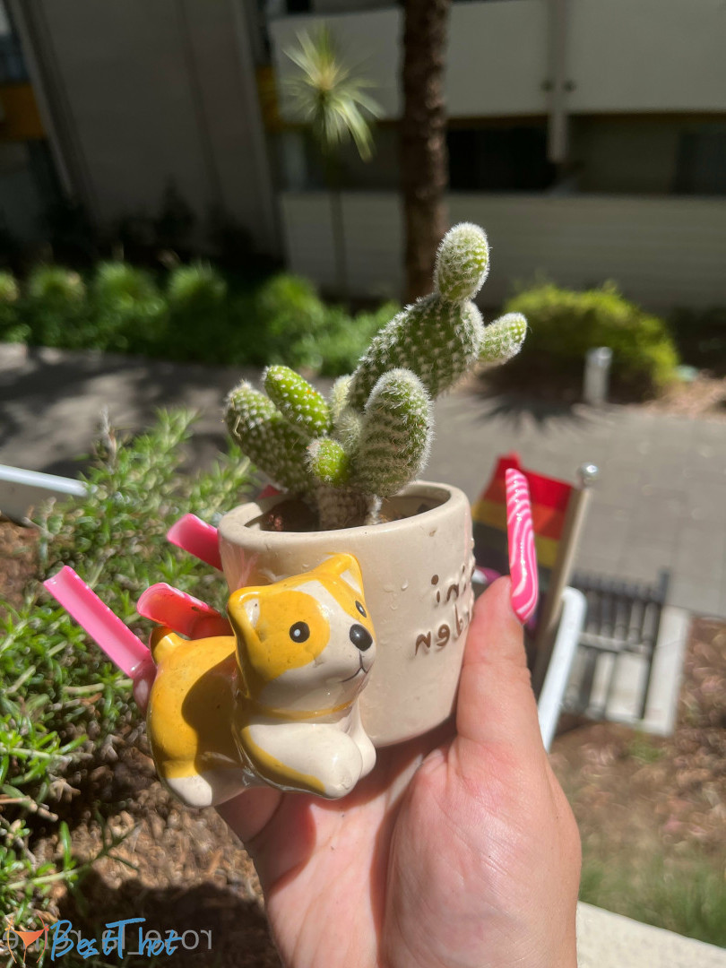 Photo by rose_la_reine published on December 13,2024 22:04:55 - BestThots