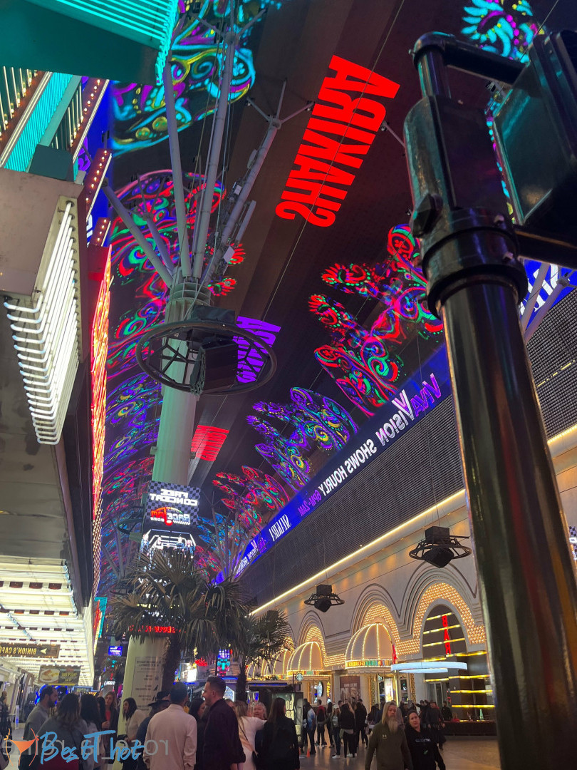 Photo by rose_la_reine published on December 13,2024 22:05:35 - BestThots