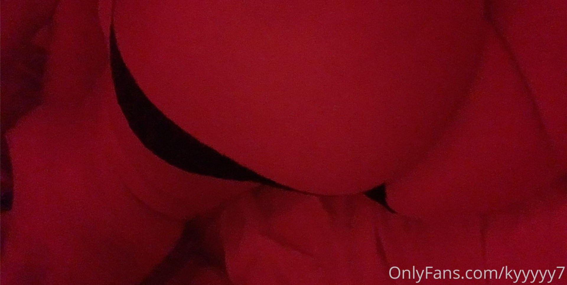 Photo by kyyyyy7 published on May 23,2023 16:39:00 - BestThots