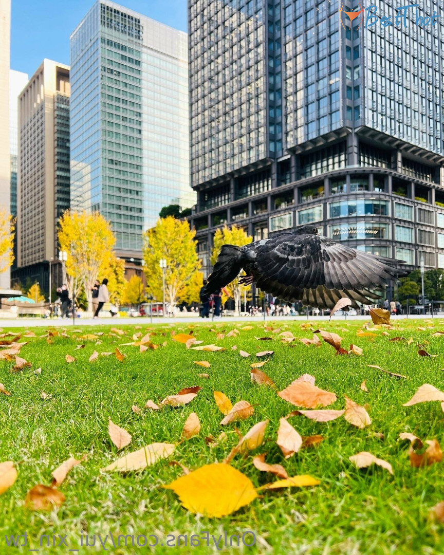 Photo by yui_xin_tw published on December 12,2024 09:03:00 - BestThots