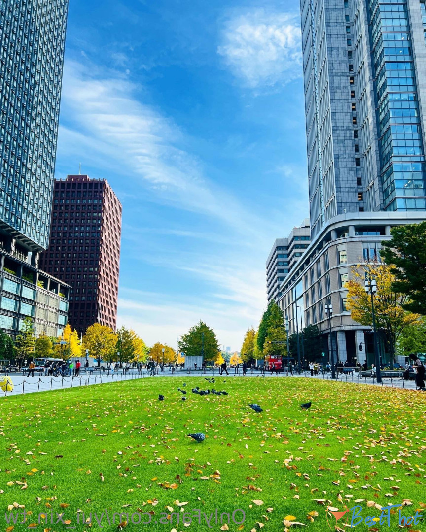 Photo by yui_xin_tw published on December 12,2024 09:03:03 - BestThots