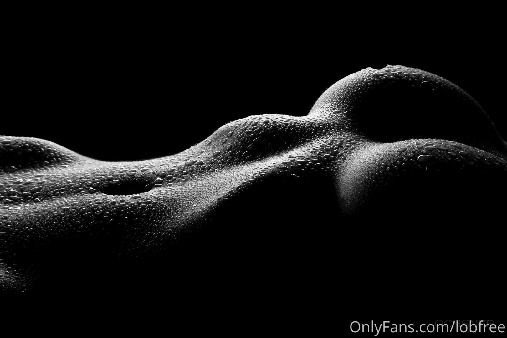 Photo by lobfree published on June 26,2023 15:20:02 - BestThots