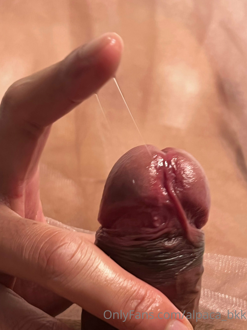 Photo by alpaca_bkk published on November 19,2023 20:13:24 - BestThots