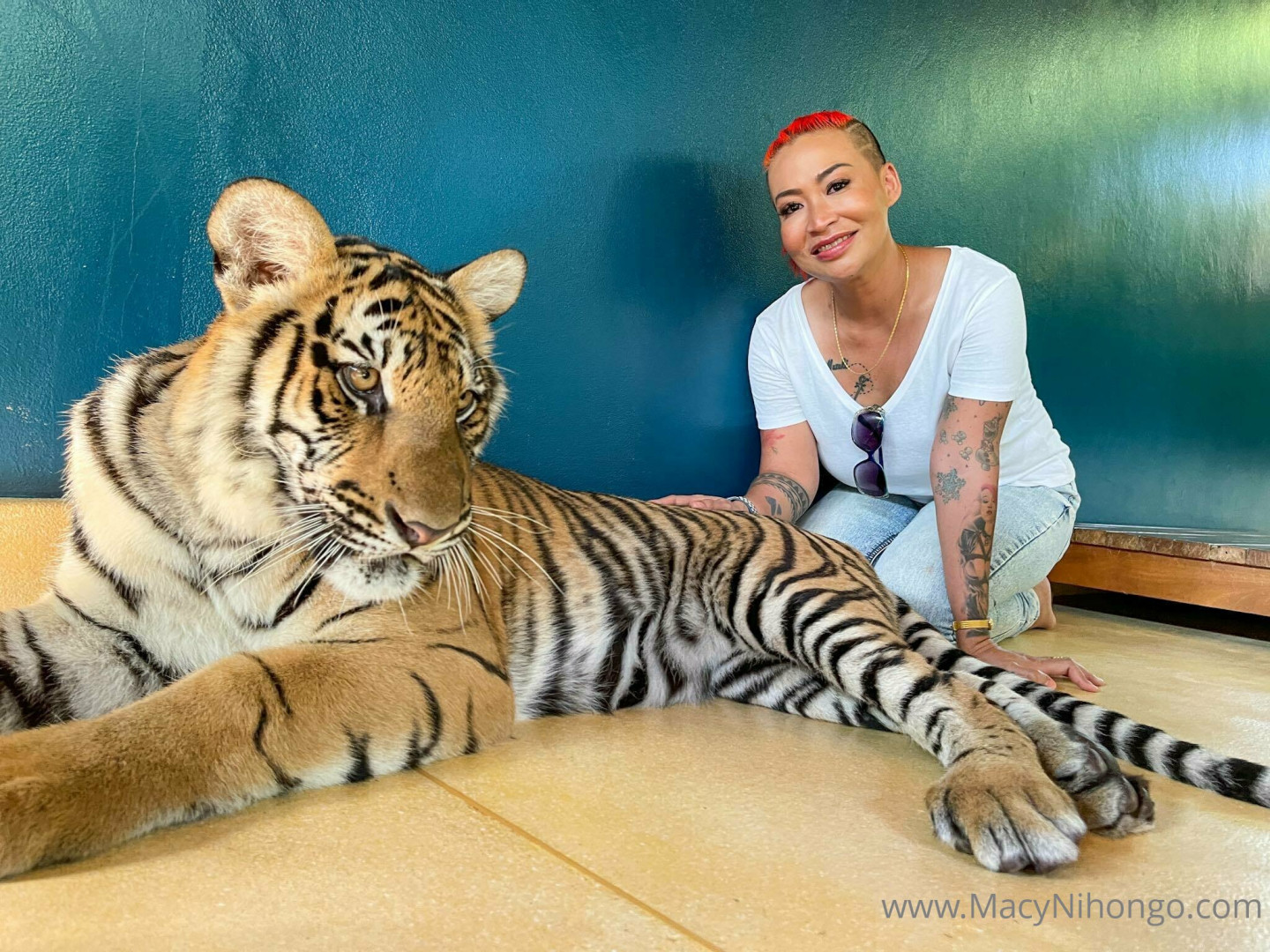 Photo by macy_nihongo published on July 25,2023 11:09:07 - BestThots