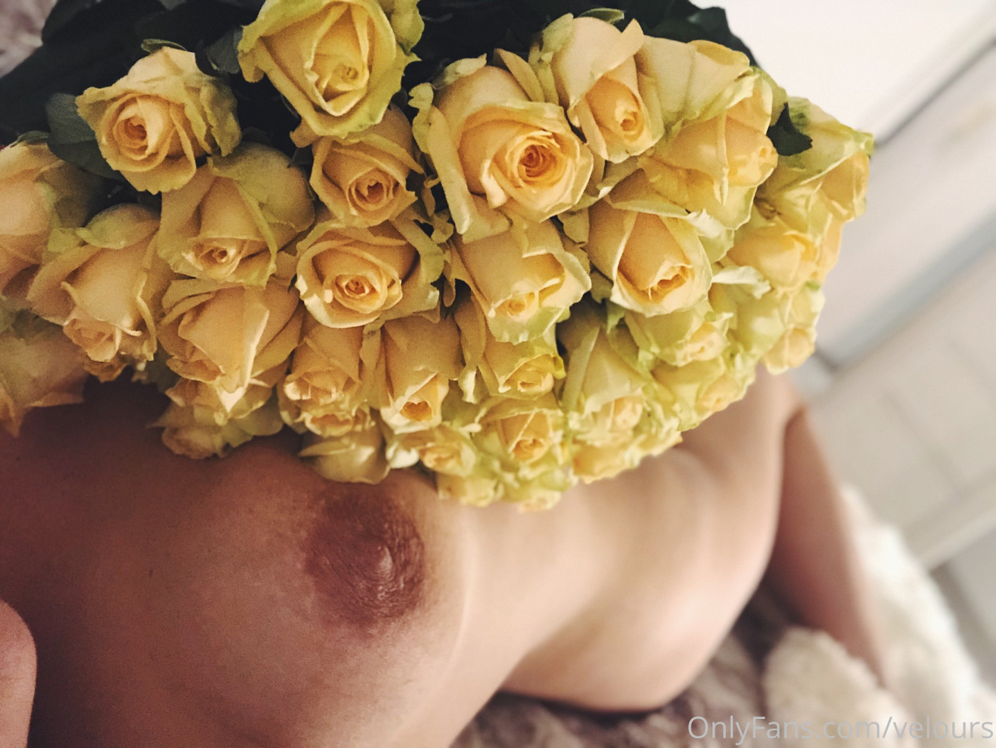 Photo by secretaryslatvip published on October 11,2023 03:02:31 - BestThots