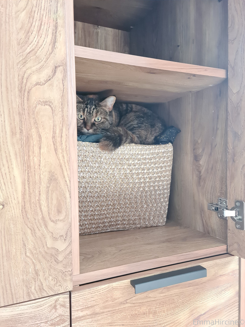 Photo by emmahircine published on October 16,2023 08:55:18 - BestThots
