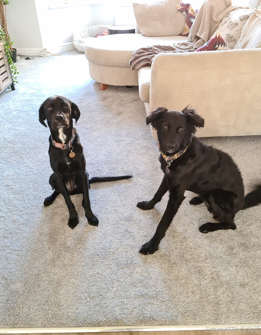 Photo by emmahircine published on October 16,2023 09:51:18 - BestThots