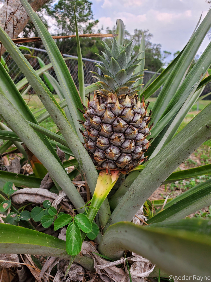 Photo by aedanraynevip published on October 16,2023 09:57:38 - BestThots