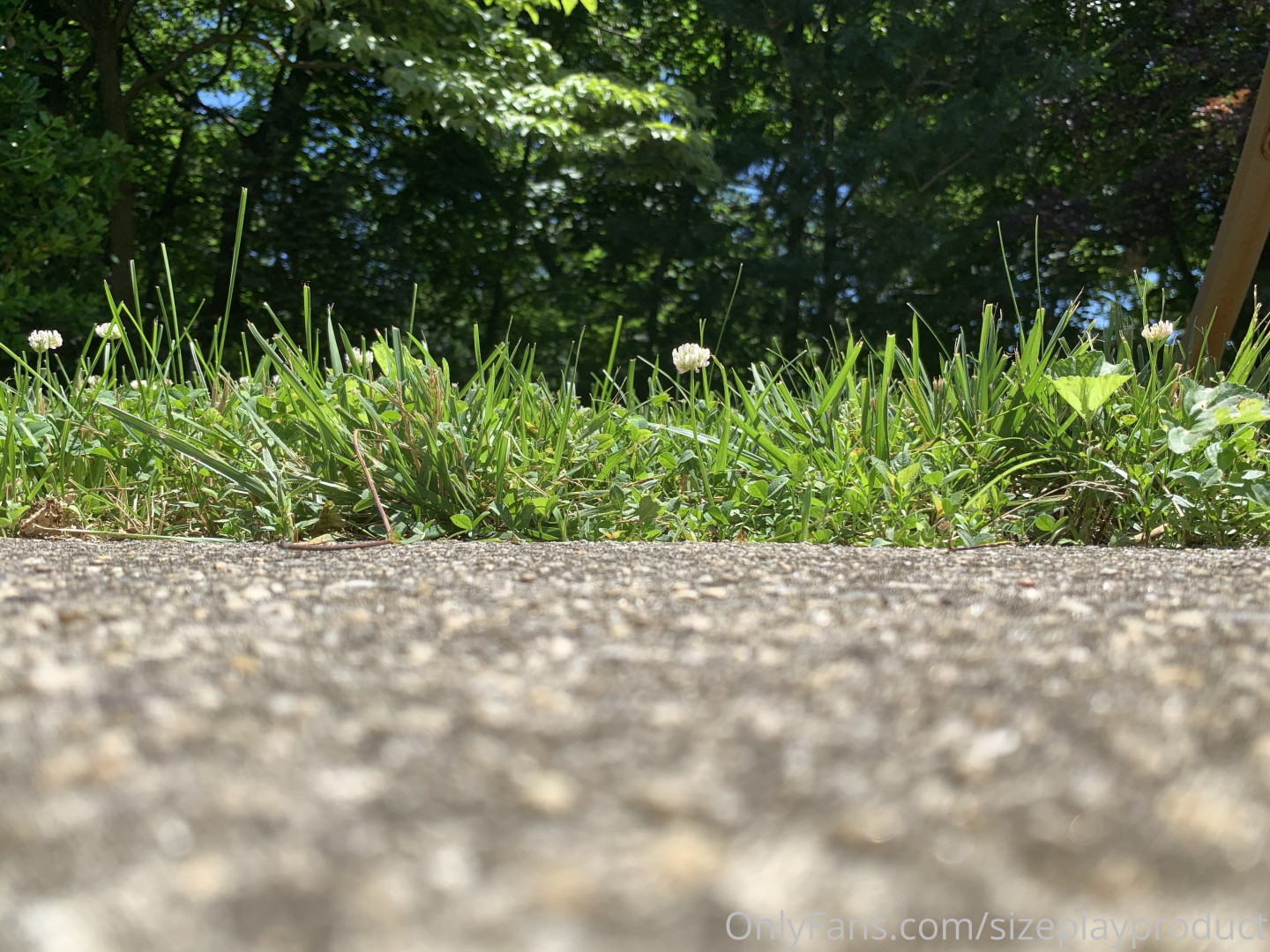 Photo by sizeplayproduct published on May 17,2023 23:11:19 - BestThots