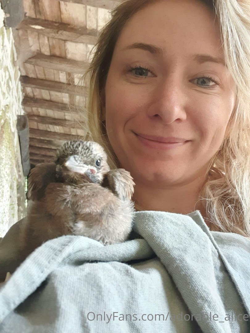 Photo by adorable_alice published on November 20,2023 07:44:36 - BestThots