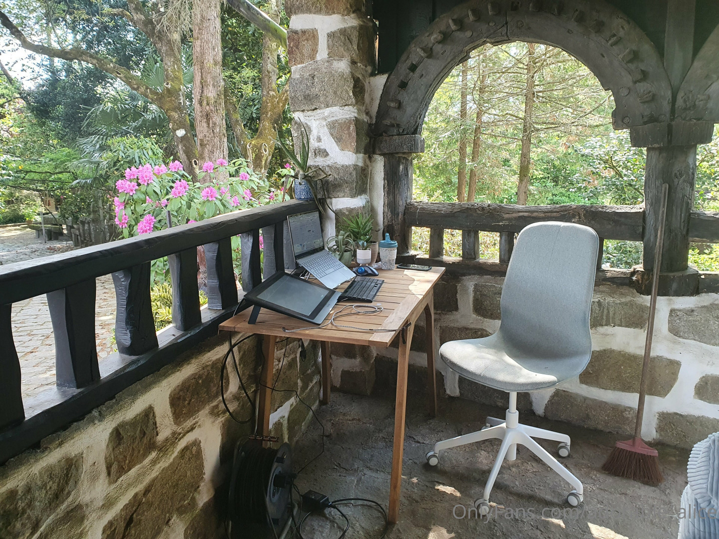 Photo by adorable_alice published on November 20,2023 08:13:55 - BestThots