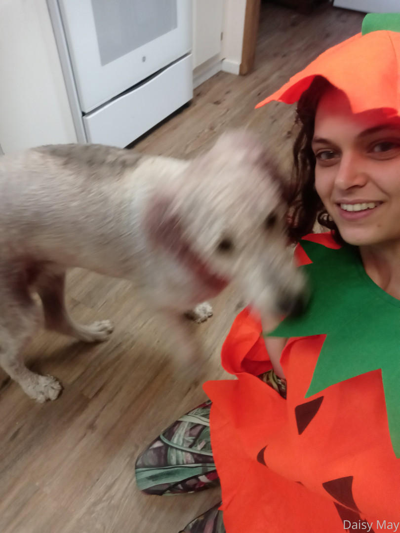 Photo by doitwithdaisy published on October 16,2023 08:00:48 - BestThots