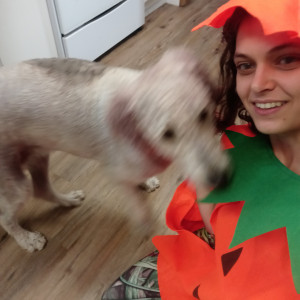 doitwithdaisy #6940199