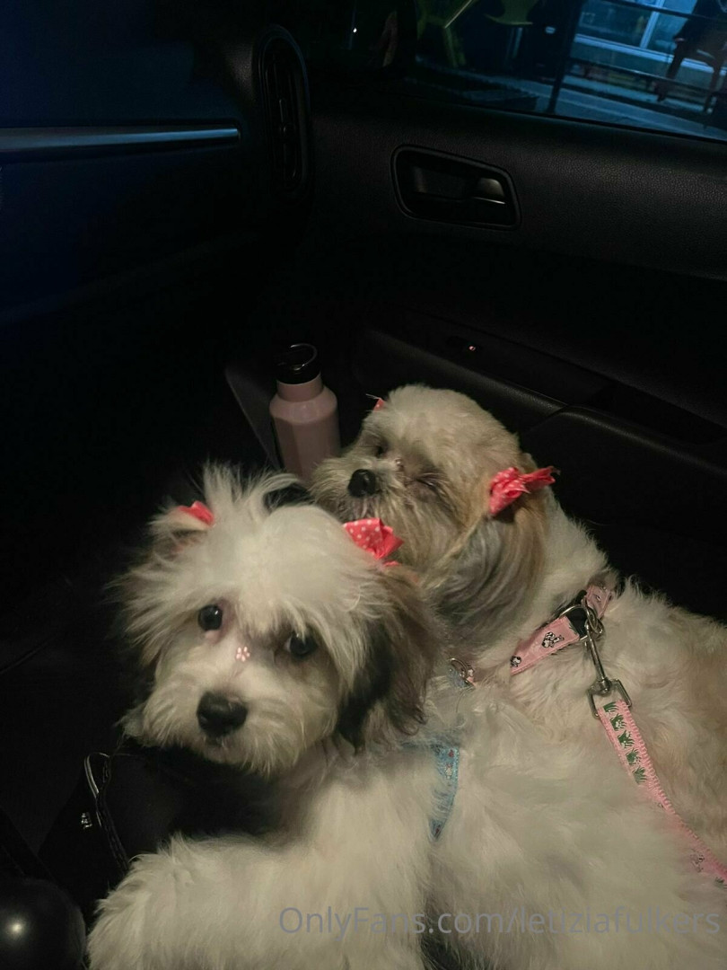 Photo by letiziafulkers published on May 23,2023 02:01:50 - BestThots