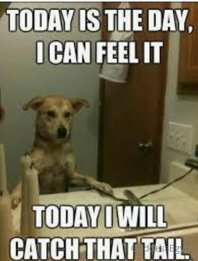 Photo by thatchocobxtch published on May 17,2023 06:49:50 - BestThots