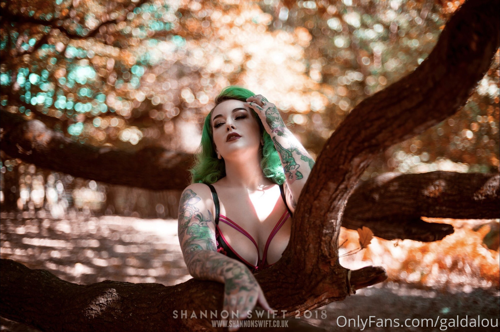 Photo by galdalou published on January 15,2024 09:54:44 - BestThots