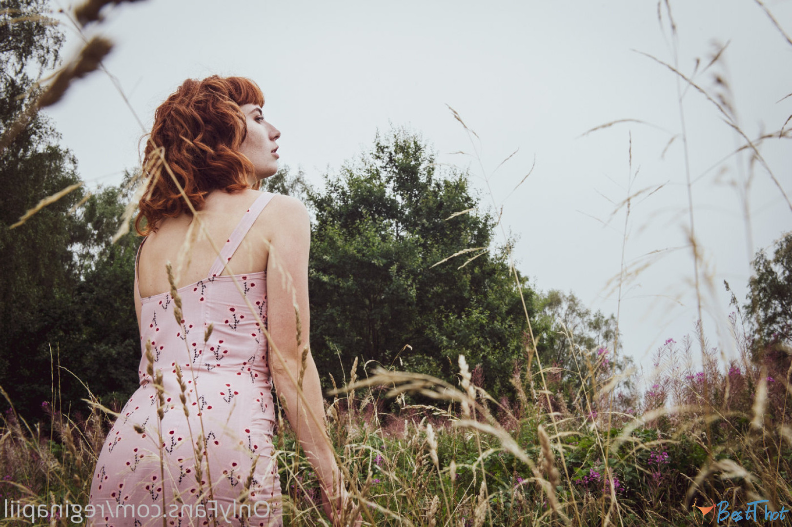 Photo by reginapiil published on December 19,2024 13:07:57 - BestThots