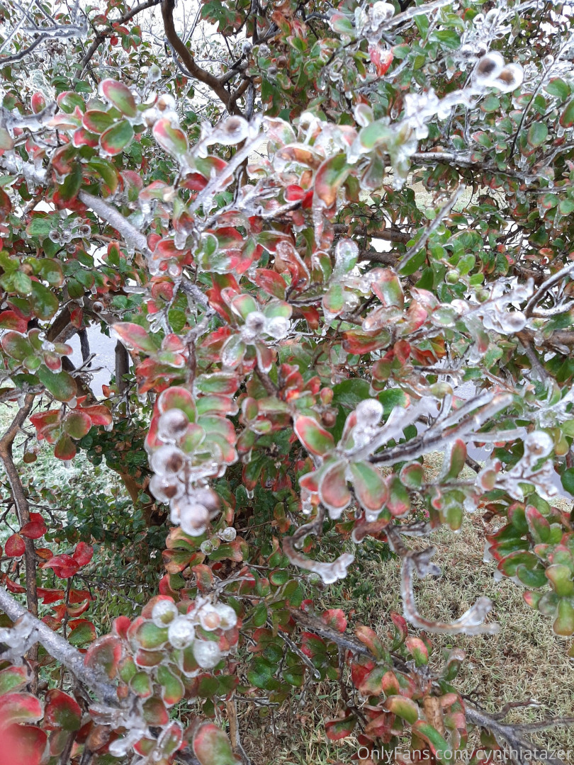 Photo by cynthiatazer published on July 15,2023 04:11:05 - BestThots