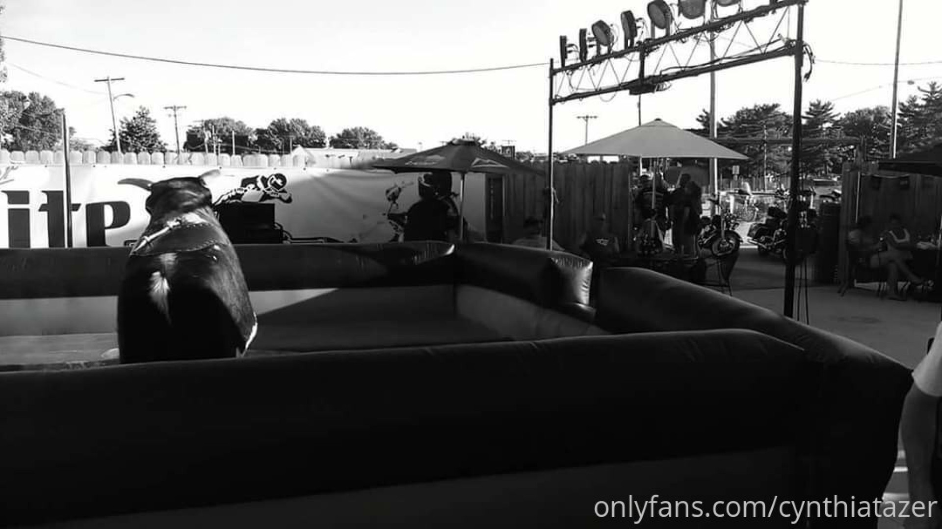 Photo by cynthiatazer published on July 15,2023 04:11:49 - BestThots