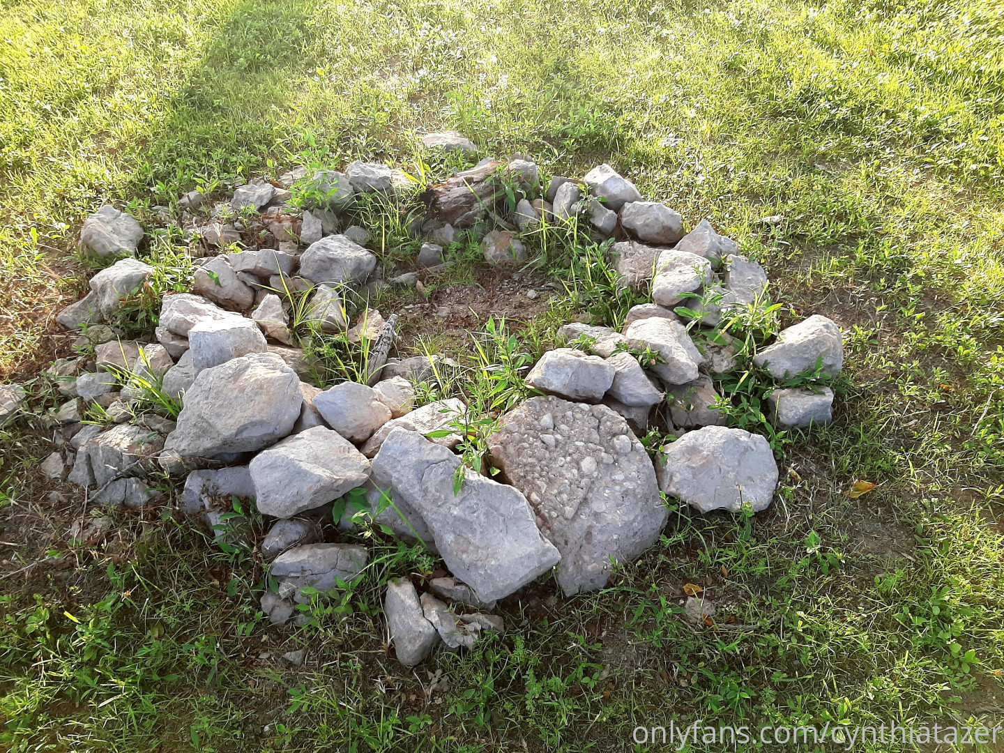 Photo by cynthiatazer published on July 15,2023 04:13:32 - BestThots