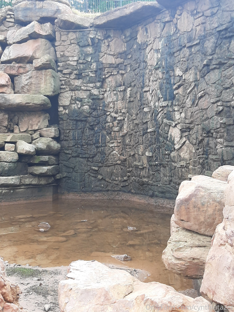 Photo by cynthiatazer published on July 15,2023 04:13:44 - BestThots