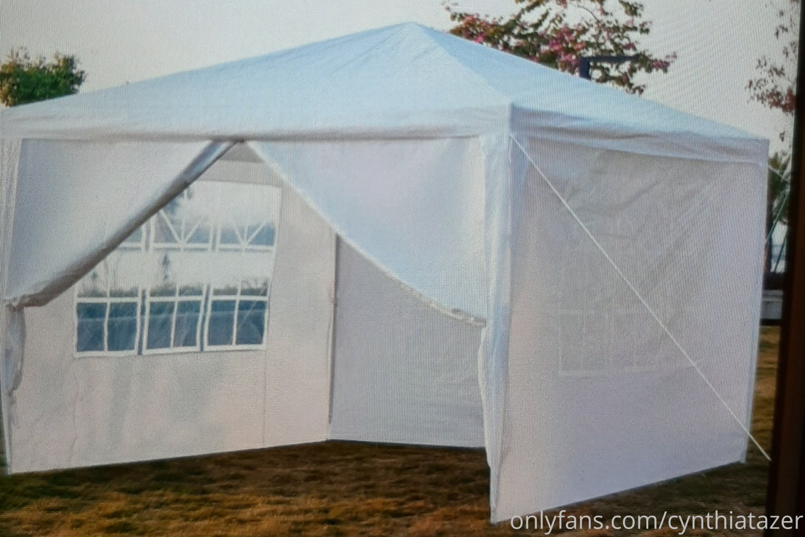 Photo by cynthiatazer published on July 15,2023 04:15:00 - BestThots