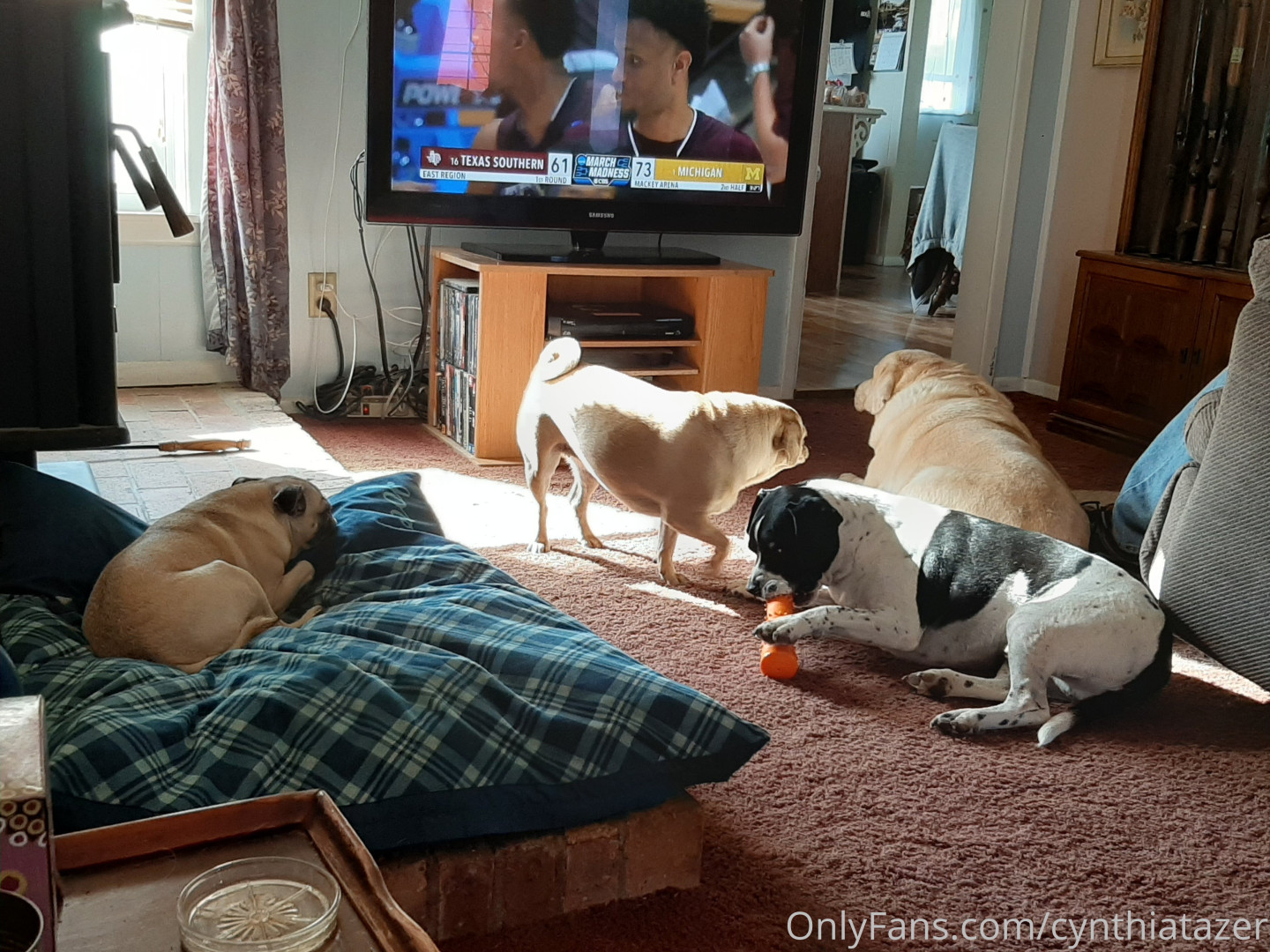 Photo by cynthiatazer published on July 15,2023 04:15:14 - BestThots