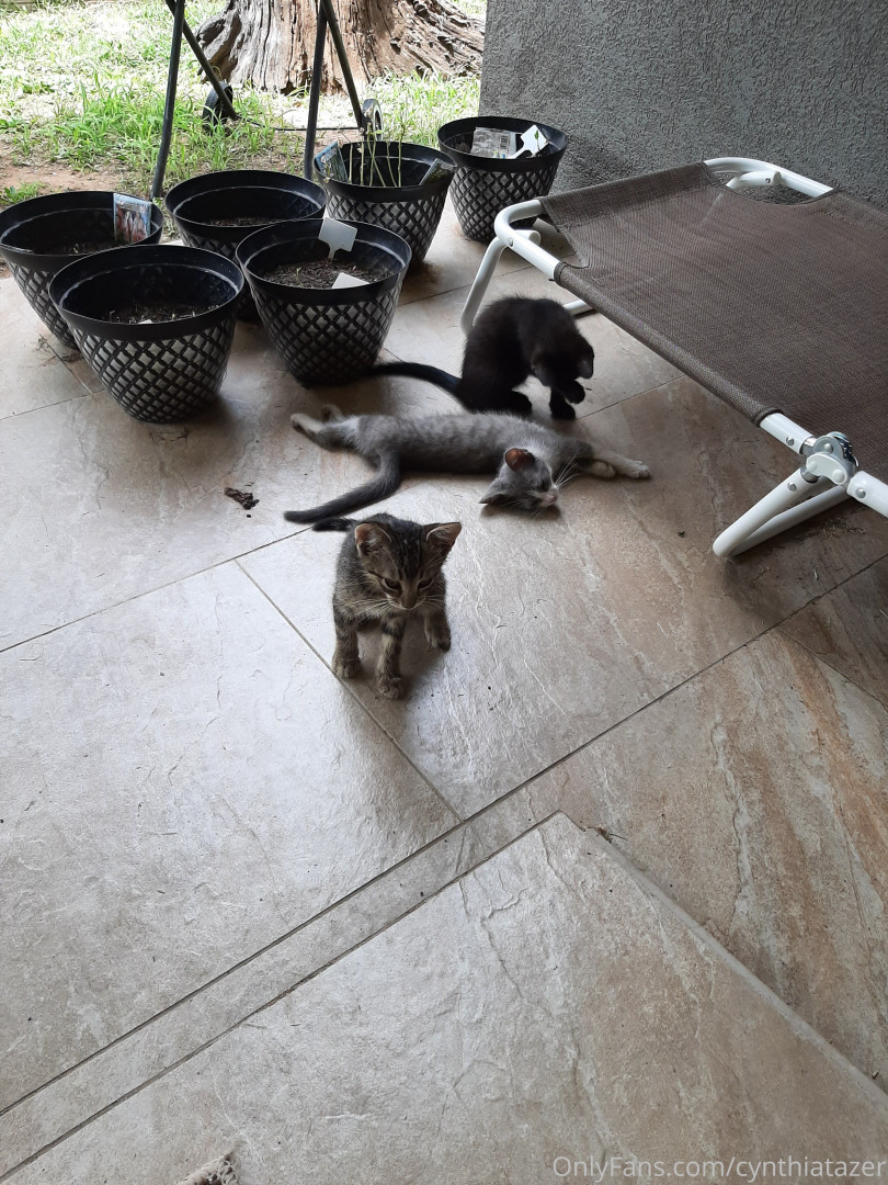 Photo by cynthiatazer published on July 15,2023 04:16:46 - BestThots