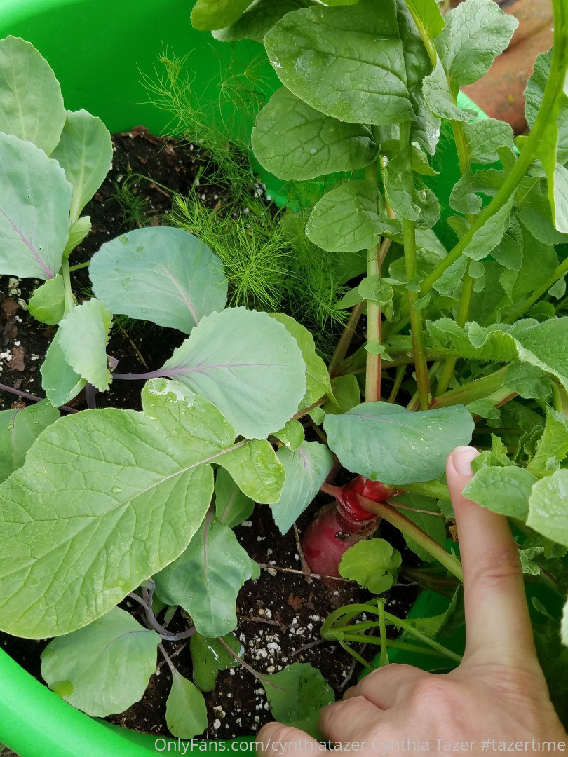 Photo by cynthiatazer published on July 15,2023 04:16:52 - BestThots