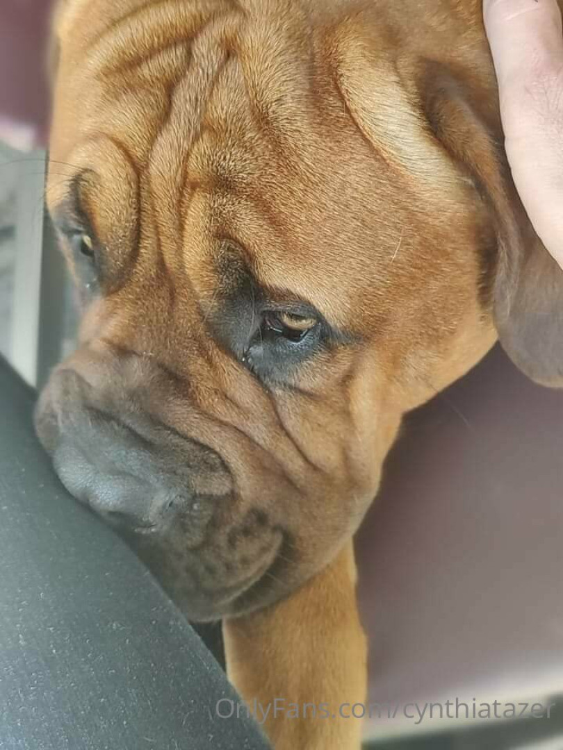 Photo by cynthiatazer published on July 15,2023 04:16:55 - BestThots