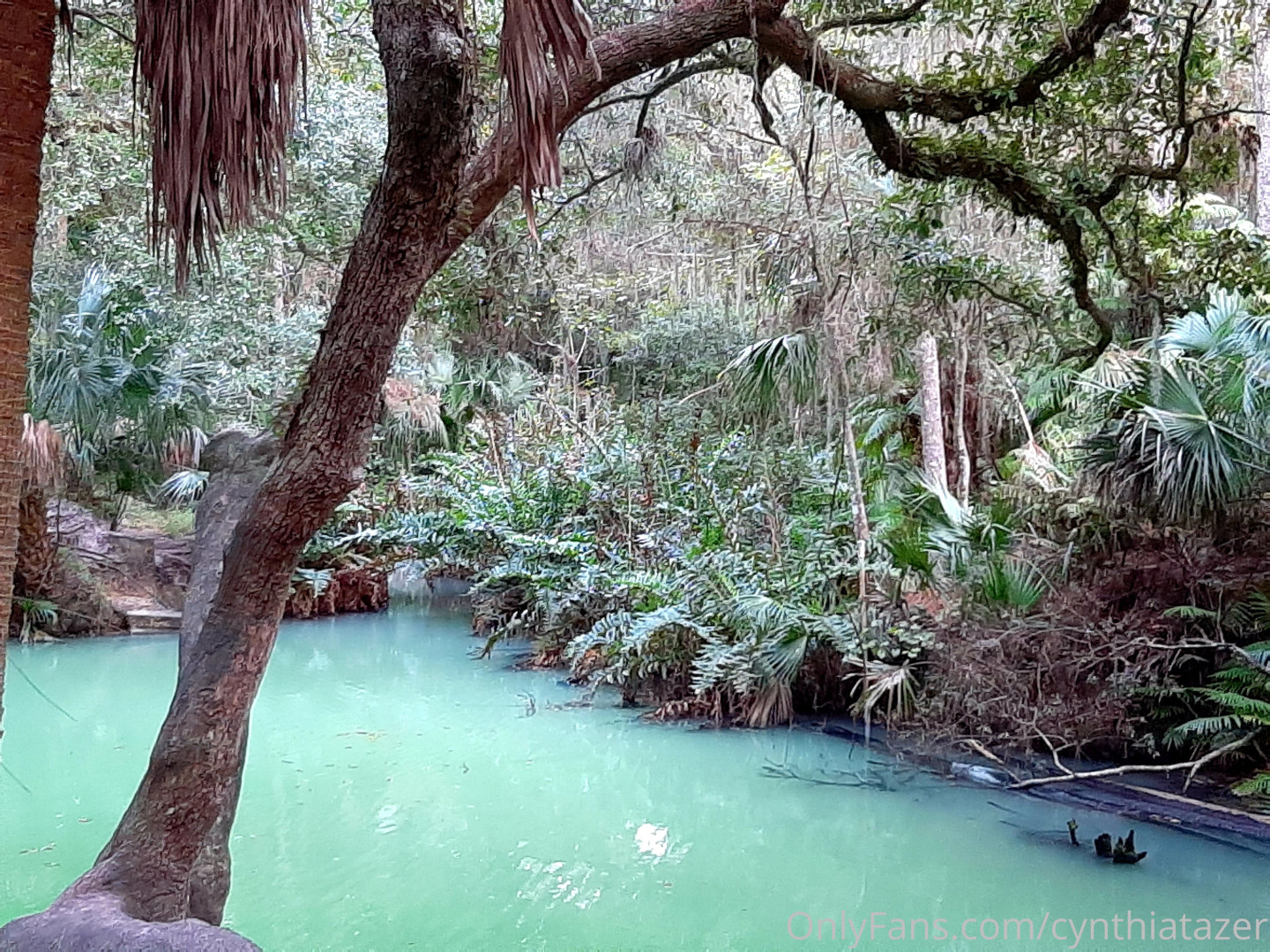 Photo by cynthiatazer published on July 15,2023 04:18:13 - BestThots