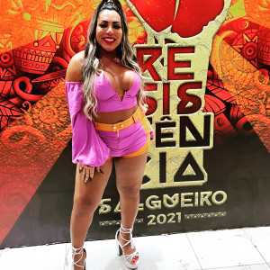 ayllagatina #8658987
