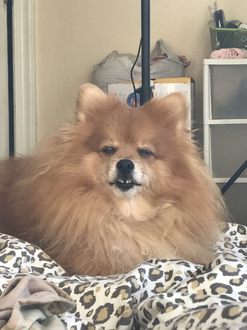 Photo by parisbush published on June 24,2023 19:22:01 - BestThots