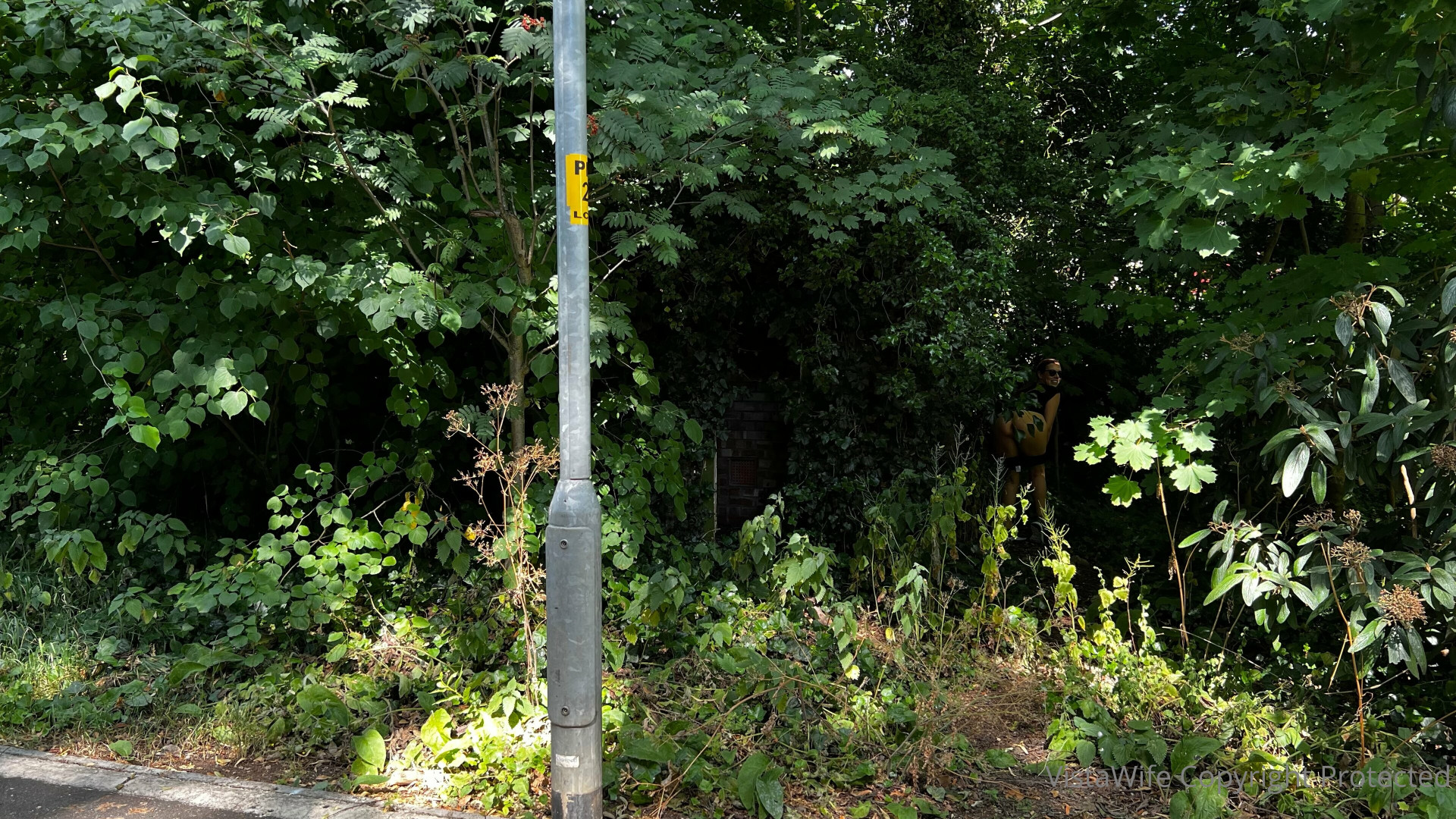 Photo by vistawife published on May 16,2023 03:17:02 - BestThots