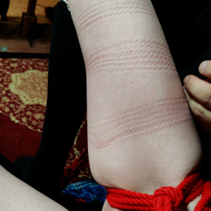 sophaloaf_of #178365