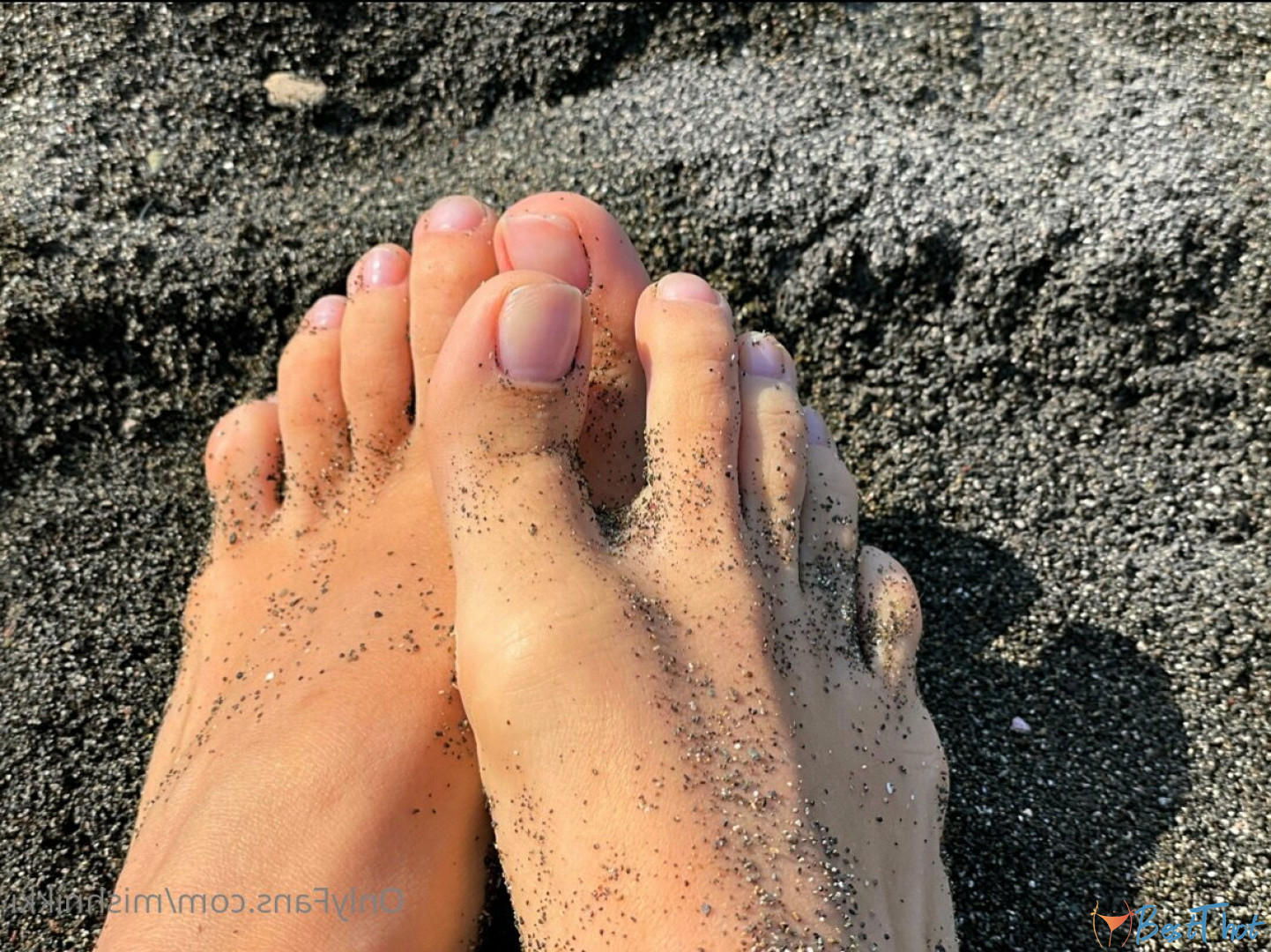 Photo by nicoleevien published on December 25,2024 06:10:45 - BestThots