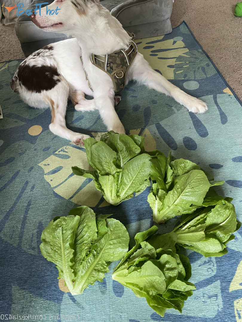 Photo by kezia420 published on December 26,2024 07:14:42 - BestThots