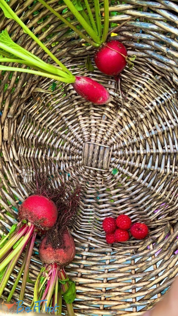 Photo by kezia420 published on December 26,2024 09:13:59 - BestThots