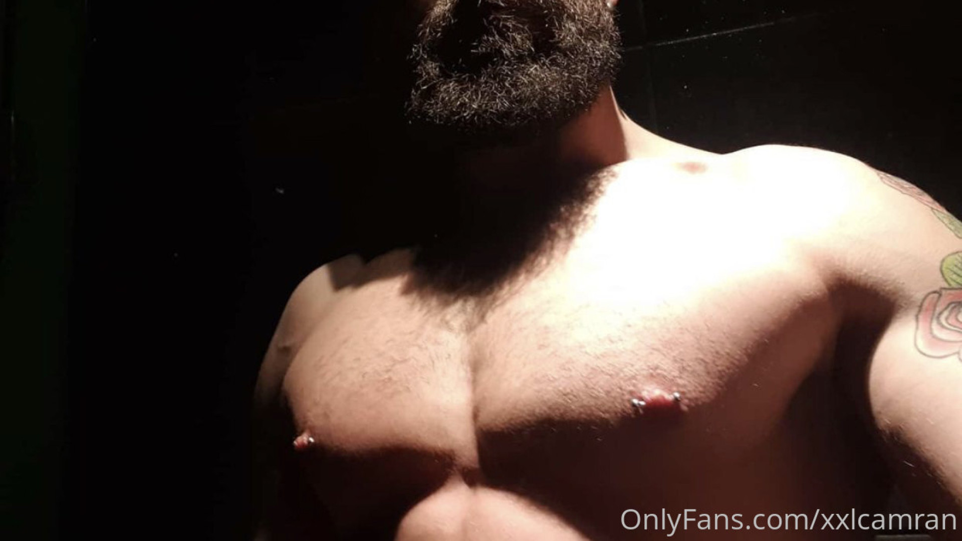 Photo by xxlcamran published on May 15,2023 20:19:21 - BestThots