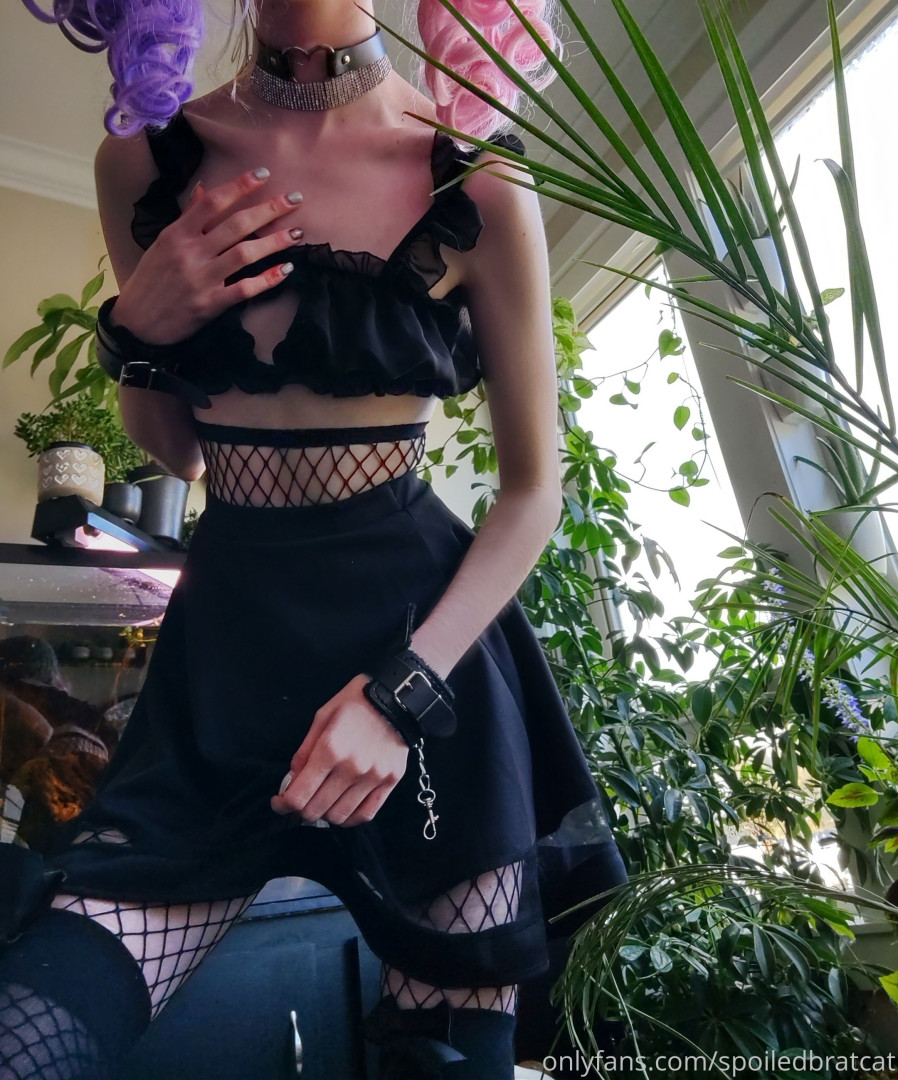 Photo by spoiledbratcat published on October 17,2023 08:06:28 - BestThots