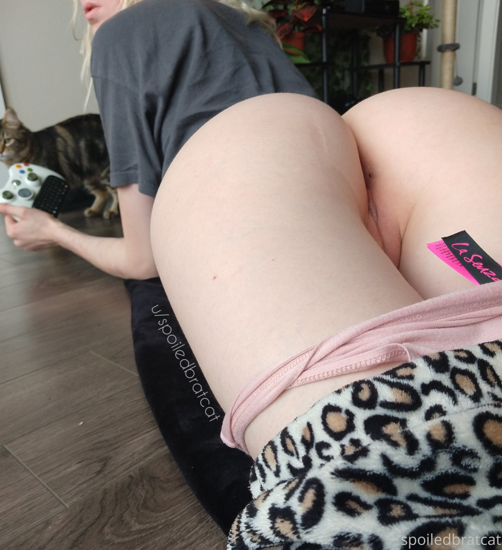 Photo by spoiledbratcat published on October 17,2023 08:18:50 - BestThots