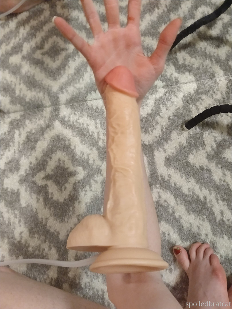 Photo by spoiledbratcat published on October 17,2023 08:20:30 - BestThots