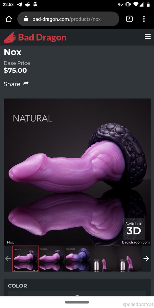 Photo by spoiledbratcat published on October 17,2023 08:20:59 - BestThots