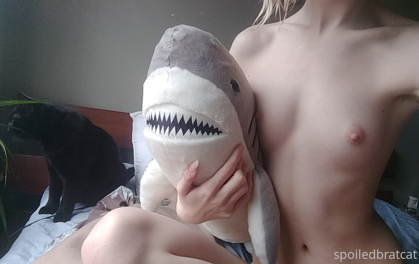 Photo by spoiledbratcat published on October 17,2023 08:25:20 - BestThots