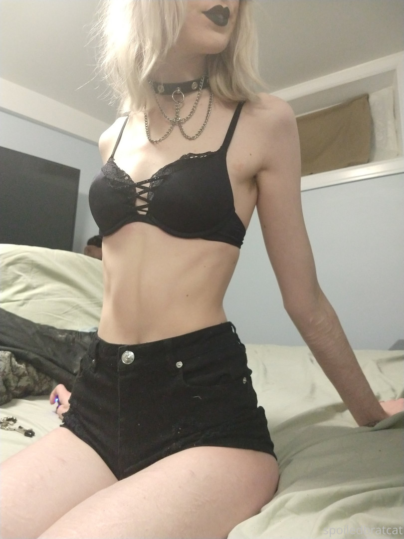 Photo by spoiledbratcat published on October 17,2023 08:28:23 - BestThots