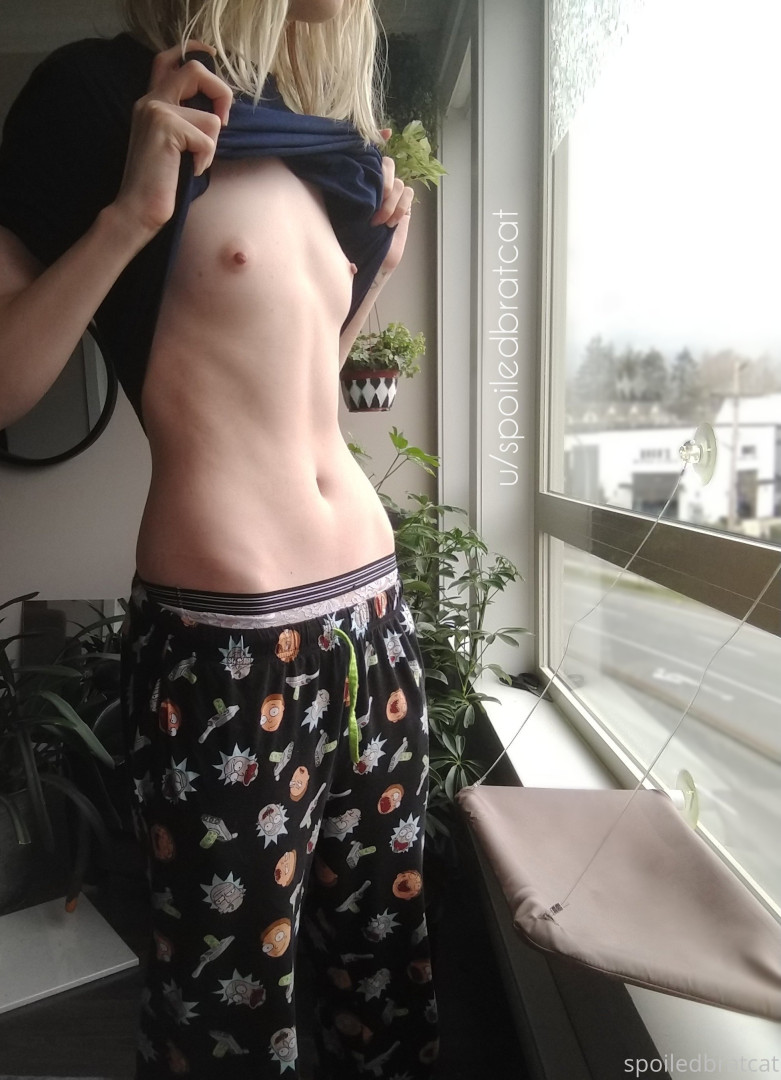 Photo by spoiledbratcat published on October 17,2023 08:29:15 - BestThots