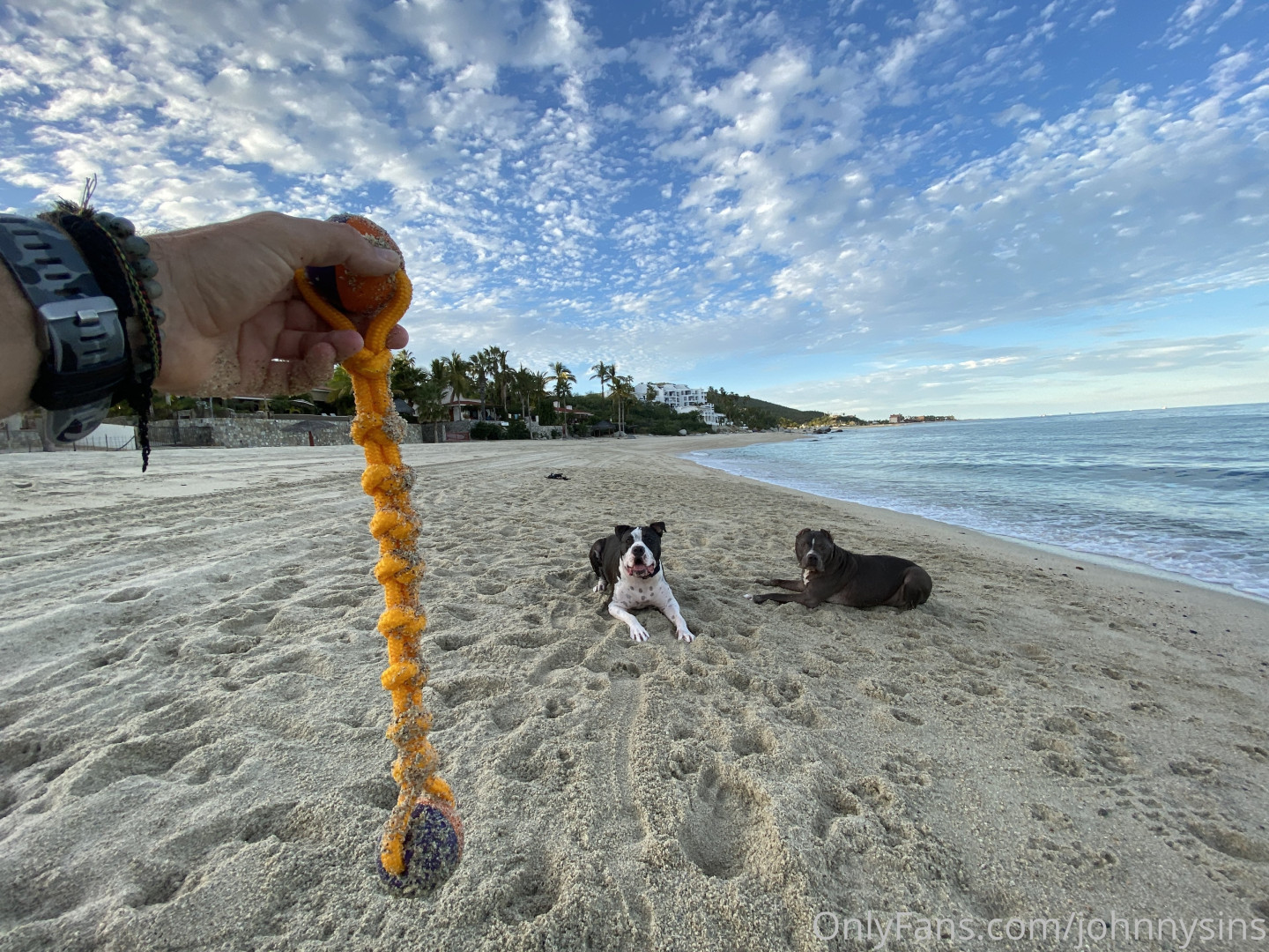 Photo by johnnysins published on July 10,2023 19:18:52 - BestThots