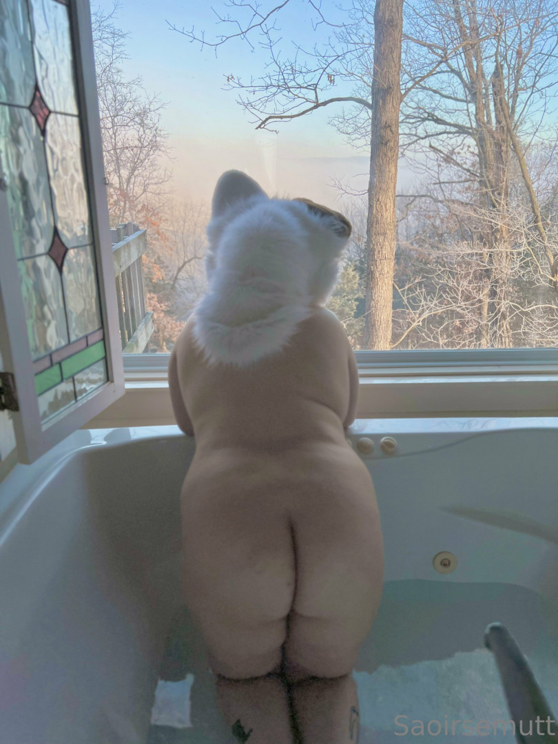 Photo by saoirsemutt published on July 4,2023 13:46:12 - BestThots