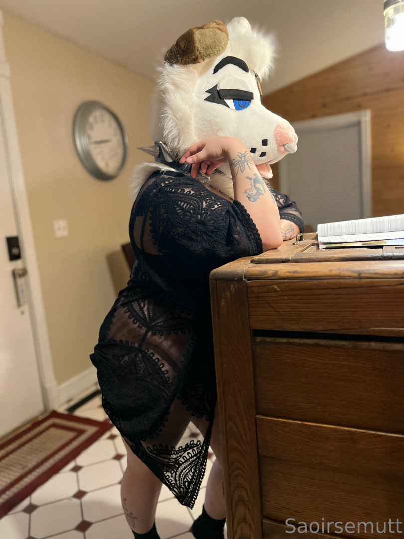 Photo by saoirsemutt published on July 4,2023 13:46:29 - BestThots